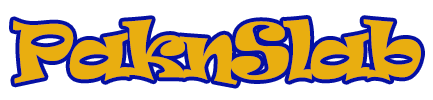 PaknSlab — Pokémon mystery graded slab trading card collections